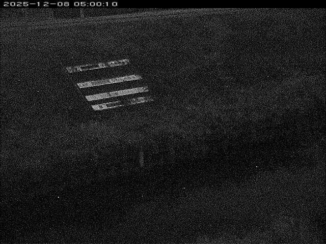 大路川１2025/12/08 11:30:00