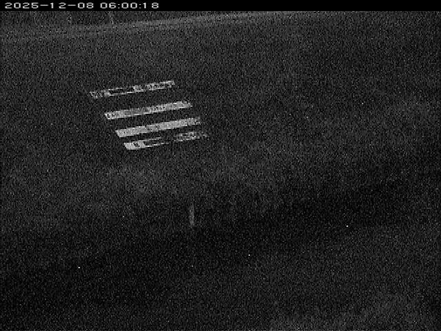 大路川１2025/12/08 11:30:00