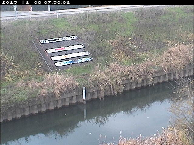 大路川１2025/12/08 11:30:00