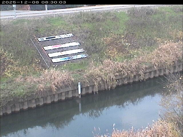 大路川１2025/12/08 11:30:00