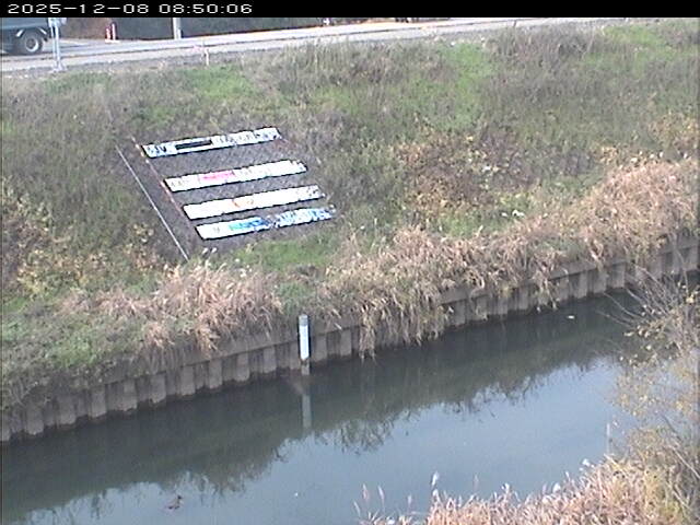 大路川１2025/12/08 11:30:00