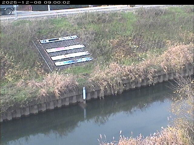 大路川１2025/12/08 11:30:00