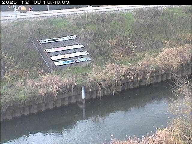 大路川１2025/12/08 11:30:00