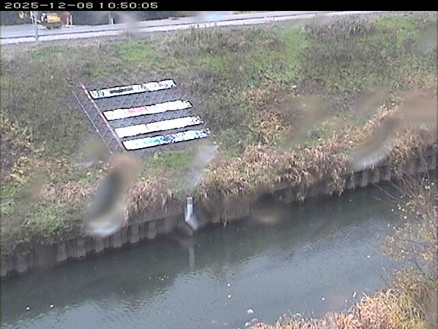 大路川１2025/12/08 11:30:00