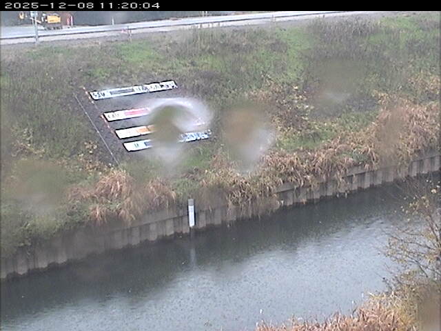 大路川１2025/12/08 11:30:00