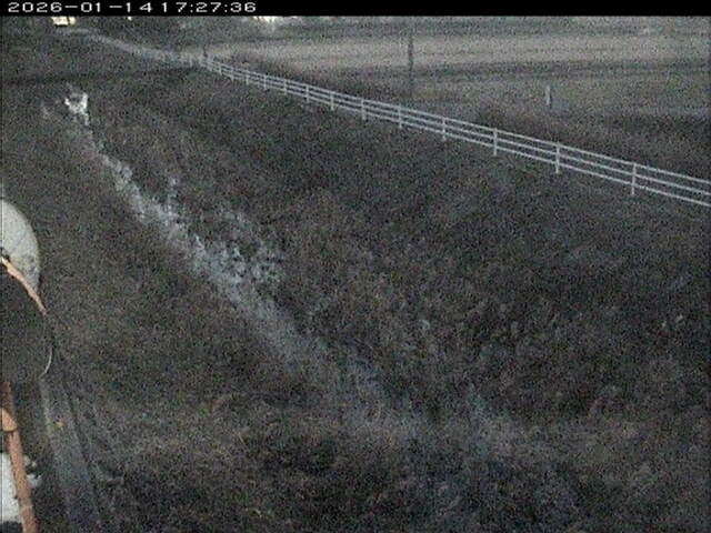 大路川６2026/01/14 19:10:00