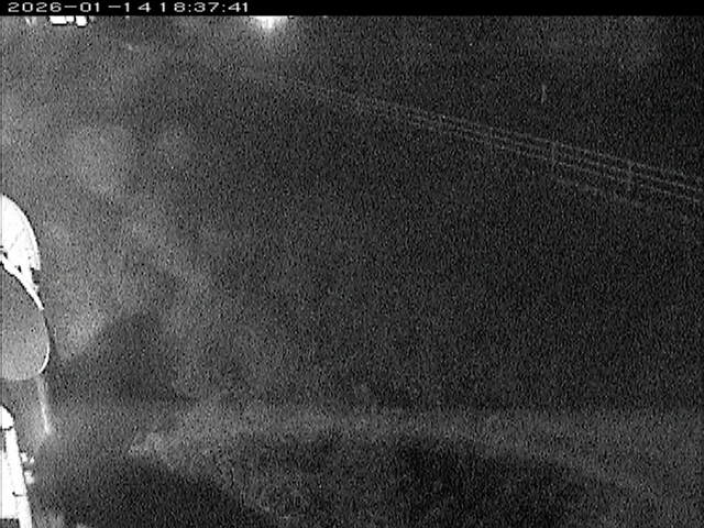 大路川６2026/01/14 19:10:00