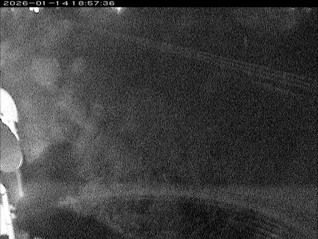 大路川６2026/01/14 19:10:00