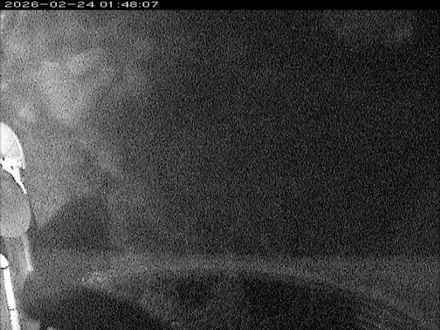 大路川６2026/02/25 2:30:00