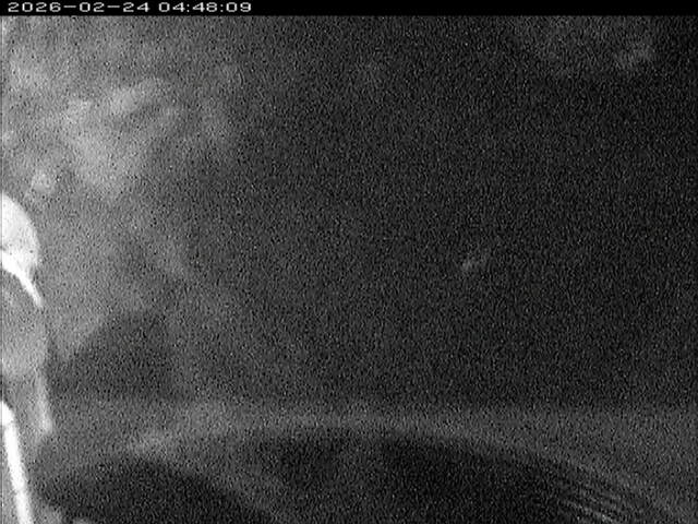 大路川６2026/02/25 2:30:00