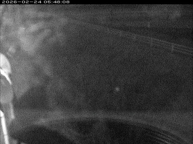 大路川６2026/02/25 2:30:00