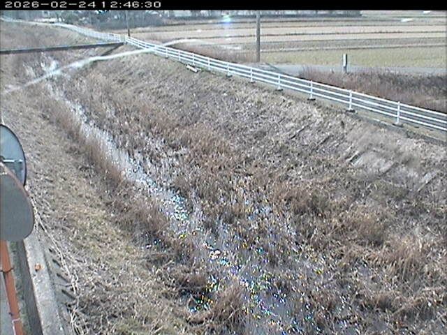 大路川６2026/02/25 2:30:00