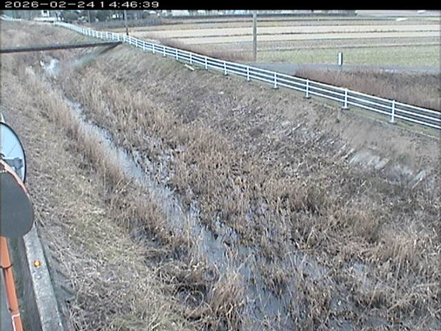 大路川６2026/02/25 2:30:00