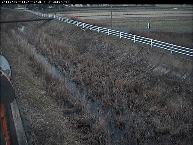 大路川６2026/02/25 2:30:00