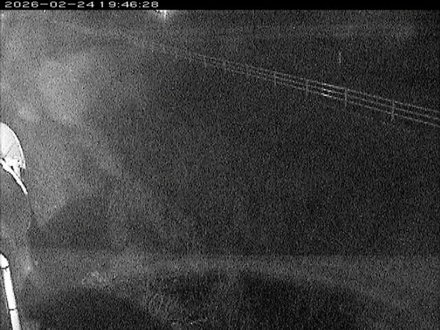 大路川６2026/02/25 2:30:00