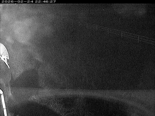 大路川６2026/02/25 2:30:00