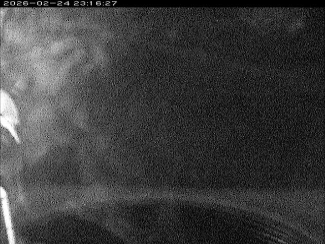 大路川６2026/02/25 2:30:00