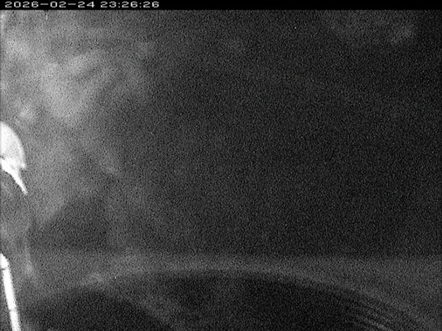 大路川６2026/02/25 2:30:00