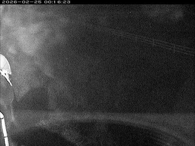 大路川６2026/02/25 2:30:00