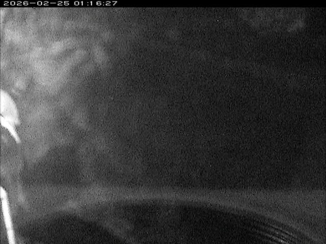 大路川６2026/02/25 2:30:00