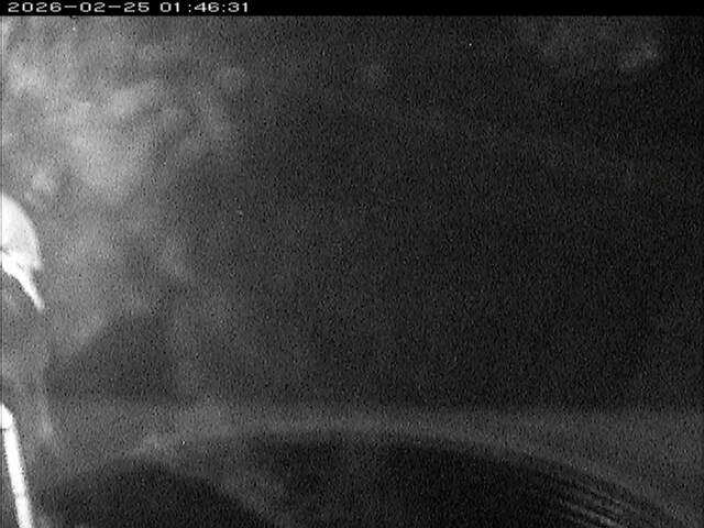 大路川６2026/02/25 2:30:00