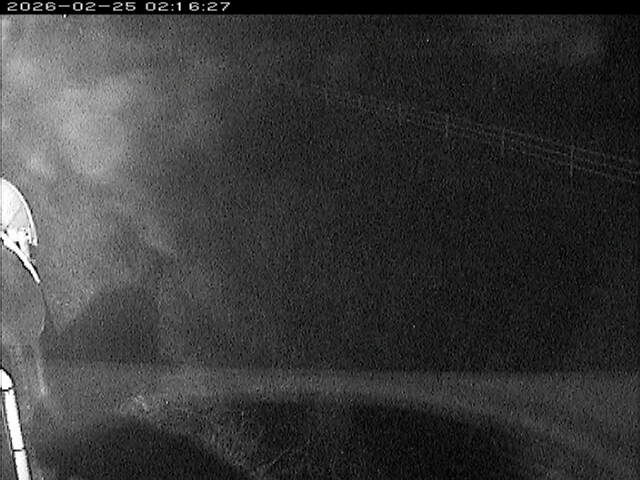 大路川６2026/02/25 2:30:00