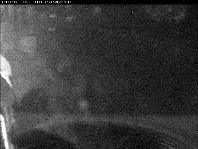 大路川６2026/05/05 0:10:00