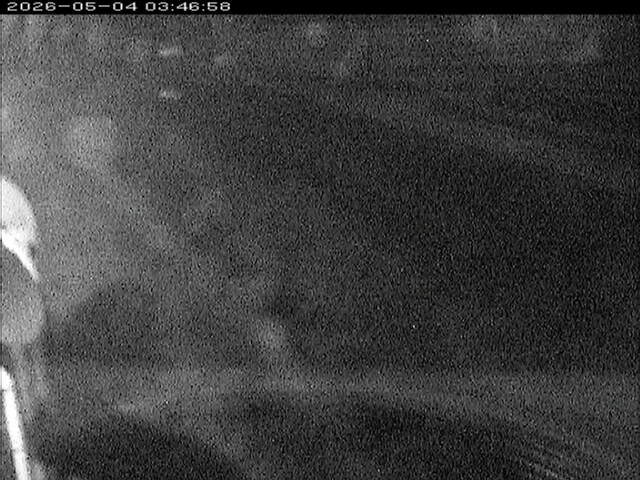 大路川６2026/05/05 0:10:00