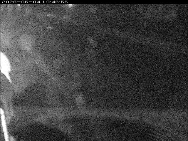 大路川６2026/05/05 0:10:00