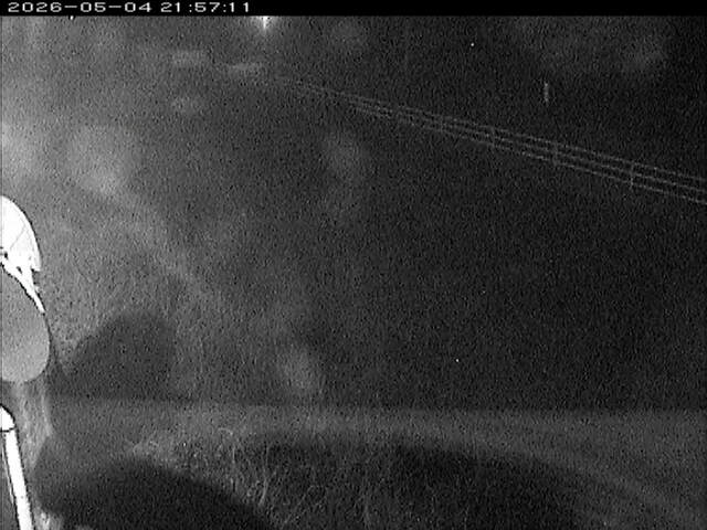 大路川６2026/05/05 0:10:00