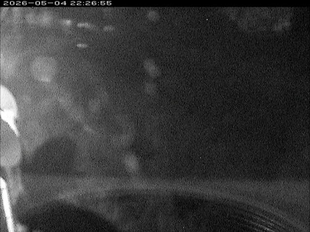 大路川６2026/05/05 0:10:00