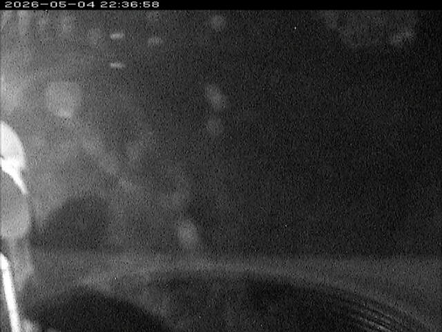 大路川６2026/05/05 0:10:00
