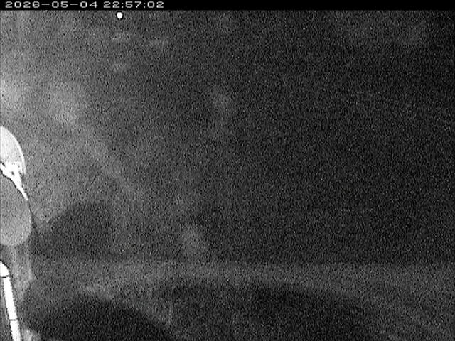 大路川６2026/05/05 0:10:00