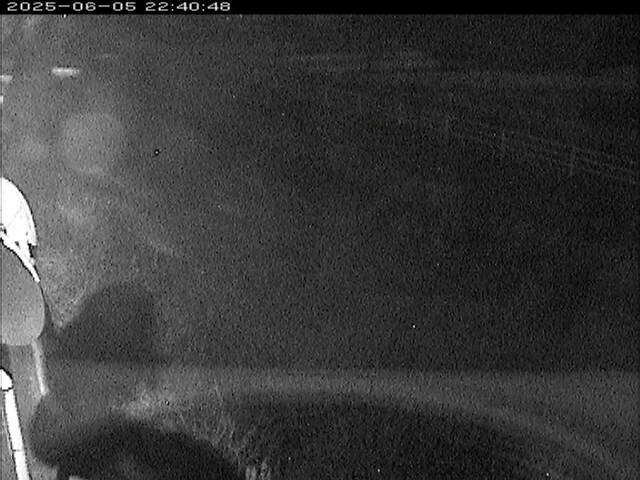 大路川６2025/06/06 1:00:00