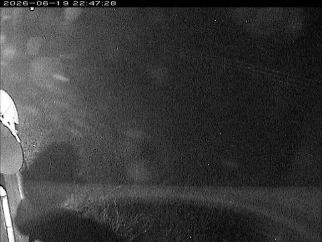 大路川６2026/06/20 22:20:00