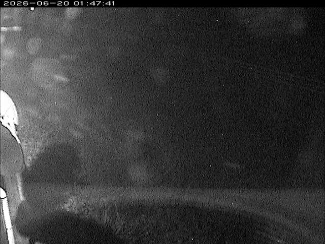 大路川６2026/06/20 22:20:00