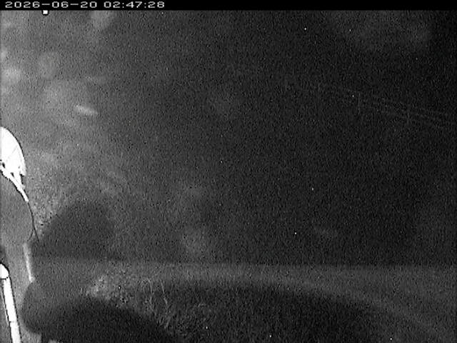 大路川６2026/06/20 22:20:00