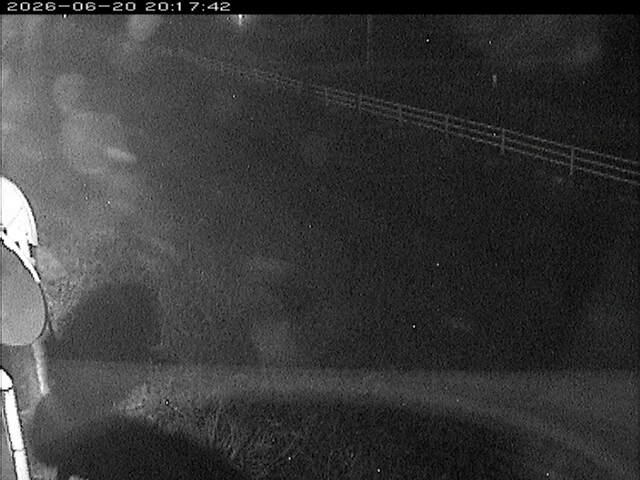 大路川６2026/06/20 22:20:00