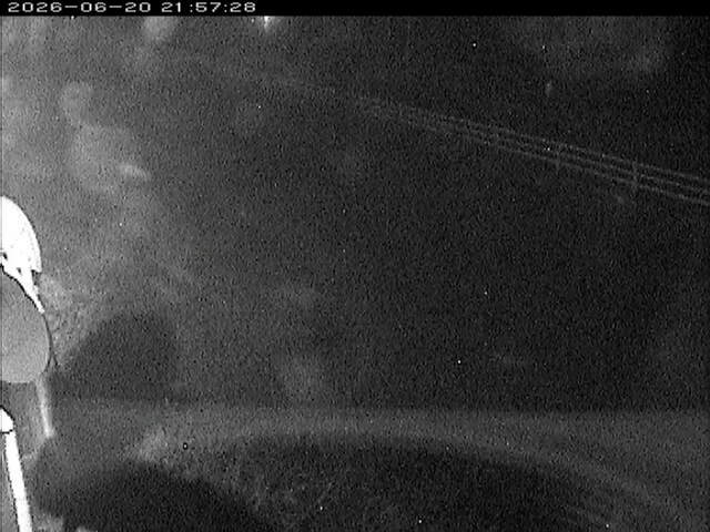 大路川６2026/06/20 22:20:00