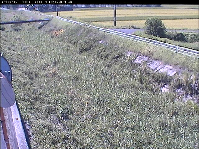 大路川６2025/08/31 11:20:00
