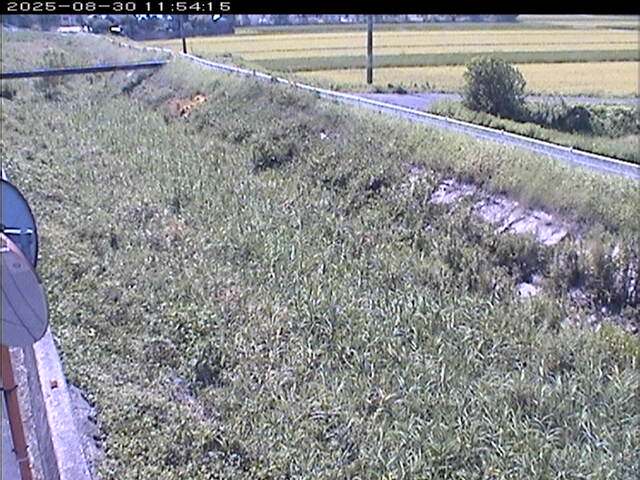 大路川６2025/08/31 11:20:00
