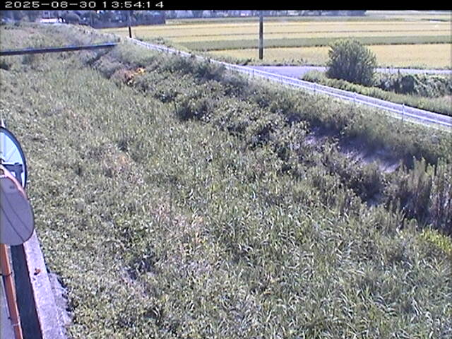 大路川６2025/08/31 11:20:00