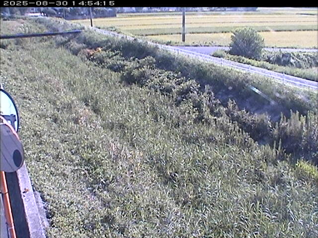 大路川６2025/08/31 11:20:00
