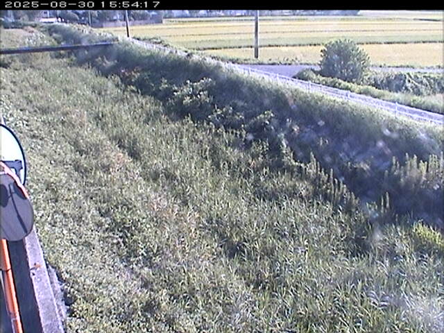 大路川６2025/08/31 11:20:00