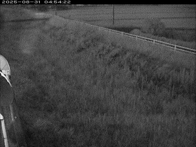 大路川６2025/08/31 11:20:00