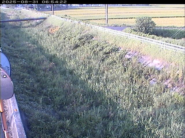 大路川６2025/08/31 11:20:00