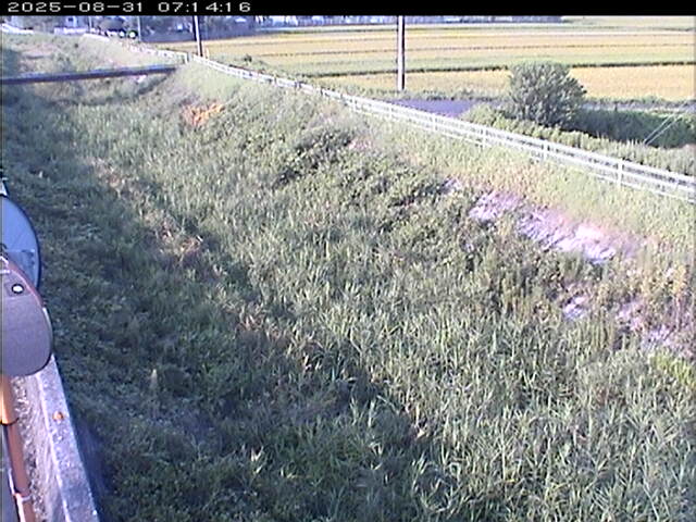 大路川６2025/08/31 11:20:00