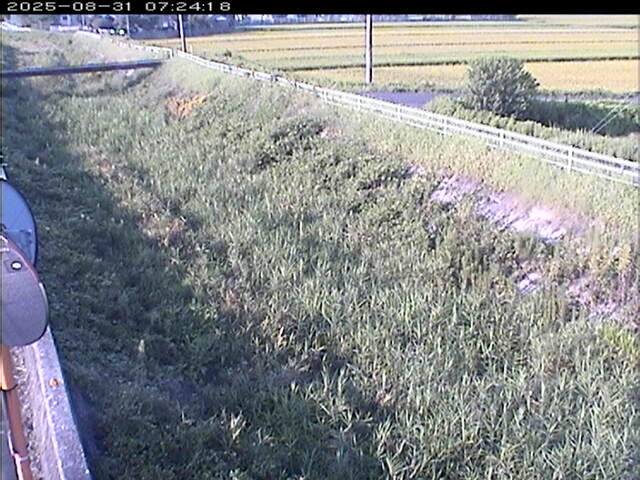 大路川６2025/08/31 11:20:00