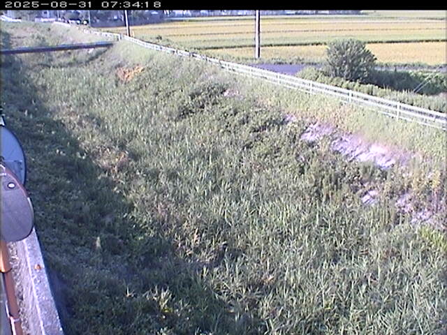 大路川６2025/08/31 11:20:00