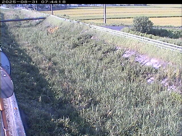 大路川６2025/08/31 11:20:00